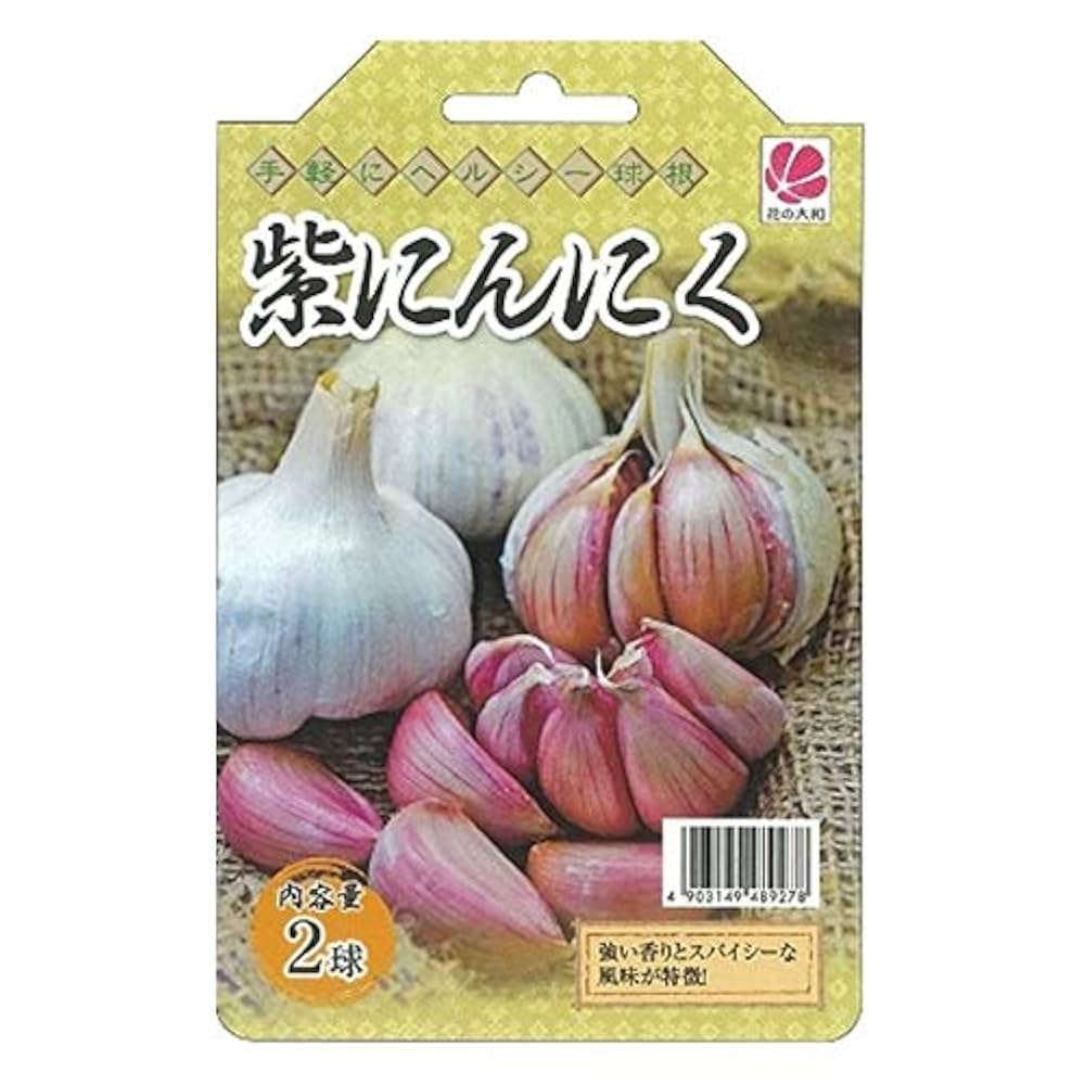 Amazon | 紫にんにく 【モラド種】 種 球根 2球入り スペイン産
